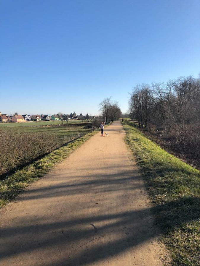Gite Wellness Le Six H Andolsheim Экстерьер фото